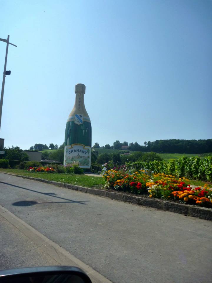 Sint-Martinus den XIIde - Kamp Curfoz JIN 2013